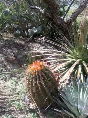 20150329_142646.jpg