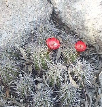 20150329_150332.jpg