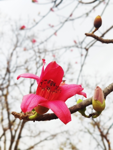 IMG_20230307_173824_Bokeh__01.jpg