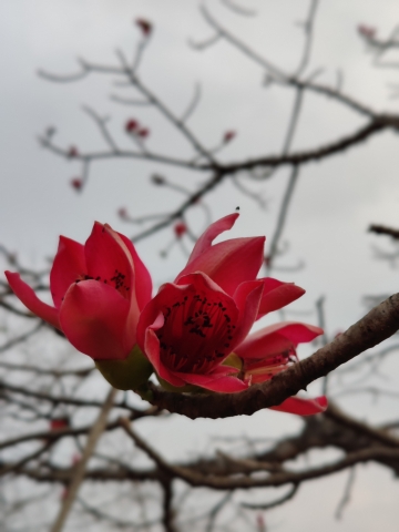 IMG_20230307_181805_Bokeh.jpg