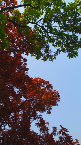 Screenshot_20220514-112712_Gallery.jpg
