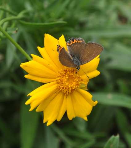 DSC_6001.JPG