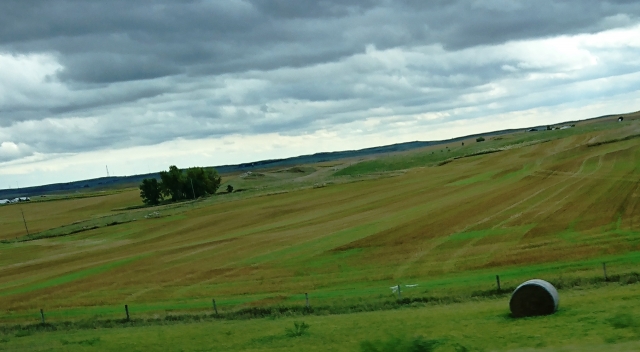 DSC_0972.JPG