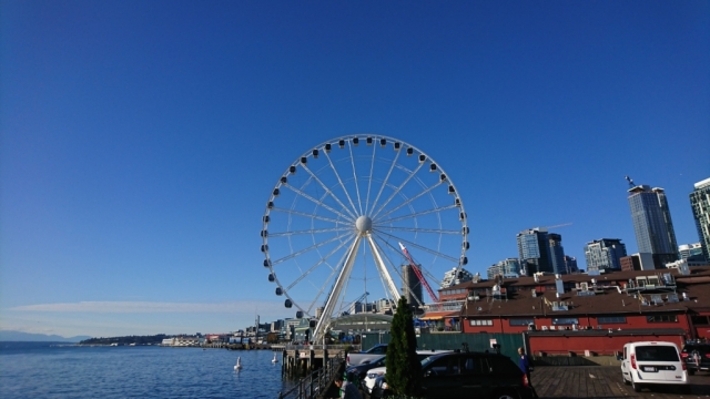 DSC_0981.JPG