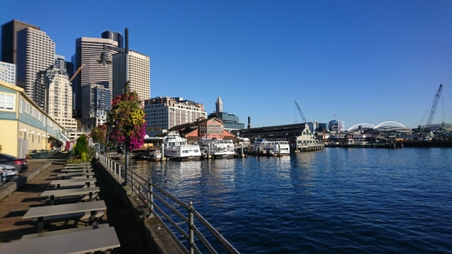 DSC_0982.JPG