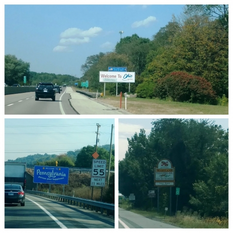 IMG_20190908_143545712-COLLAGE.jpg
