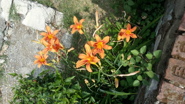 20180502_142526.jpg