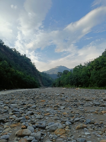 743e19d2-6594-4ae6-8b2b-3290eef57e05.jpeg