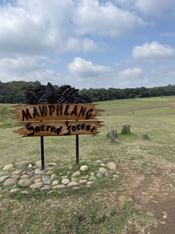 mawphlang2.jpeg