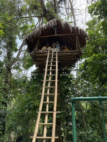 treehouse_0.jpeg