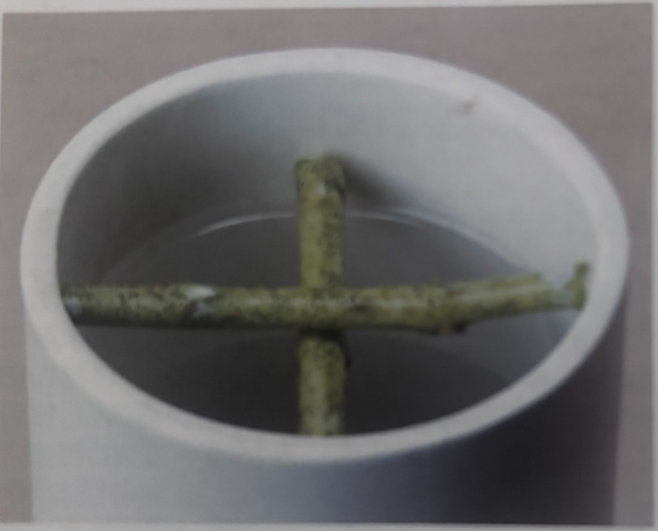6-ikebana_no_kenzan_image2.jpg