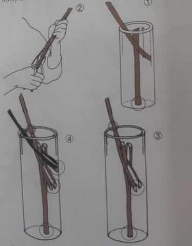 6_ikebana_no_kenzan_image1.jpg