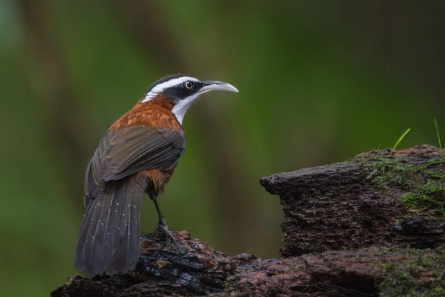 img_5138.jpeg