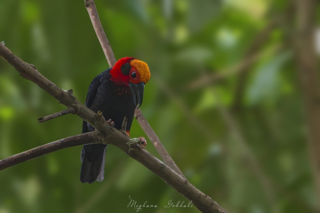 img_5207.jpeg