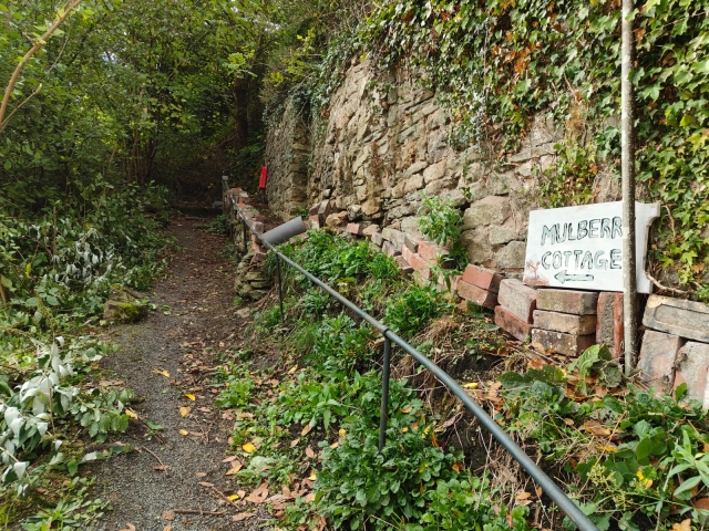 path.jpg