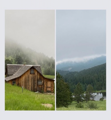 Homestead.jpg