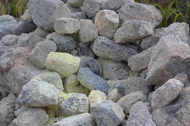 IMG_4292.JPG