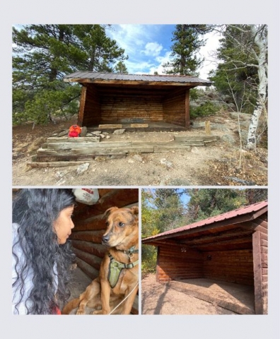Shelter.jpg