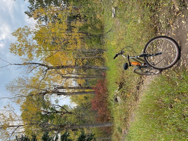cycle.jpg