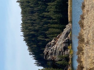 lake.jpg