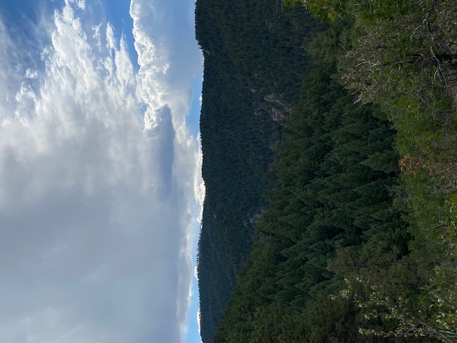 view.jpg