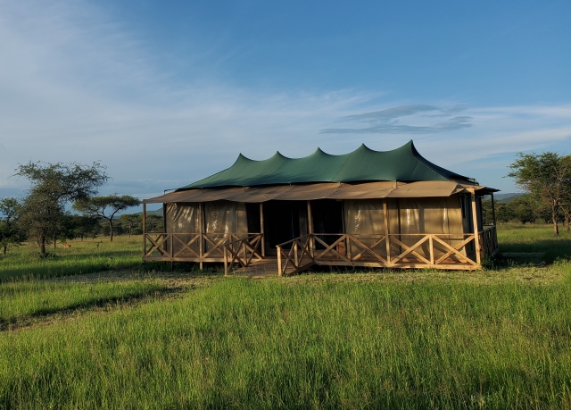 tent_at_into_the_wild_lodge.jpg