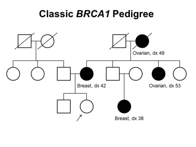classic_brca1.jpg
