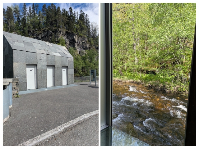 pxl_20260528_102141177-collage.jpg