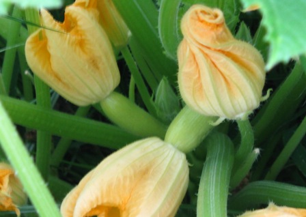 pic8.jpg