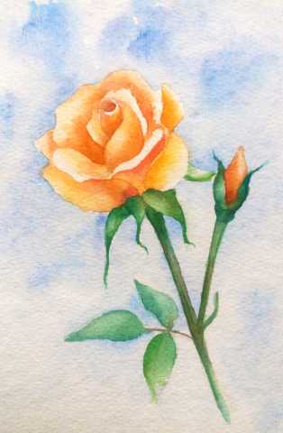 Rose.jpg