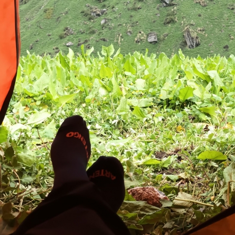 Basecamp1.jpg
