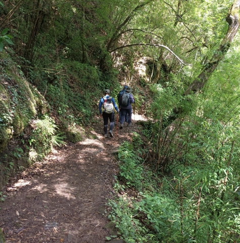 OnTheWay5.jpg
