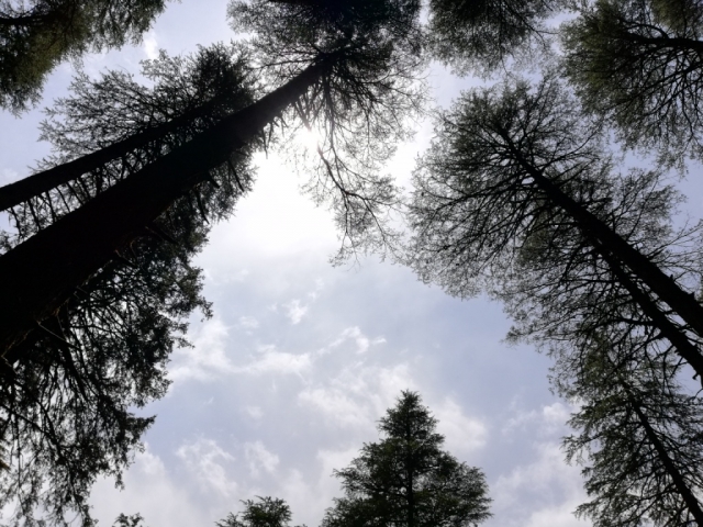 Sky.jpg
