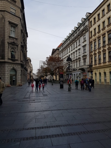 2db765f1-6847-49c0-a9c8-1e3996ba4fe7.jpg