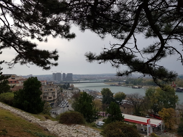 520776c9-ae12-4ac8-8b5f-e3092eafbb3a.jpg