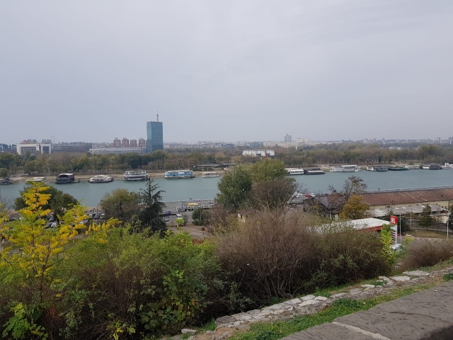 ab4f5793-4dc7-441e-9796-f43717238635.jpg