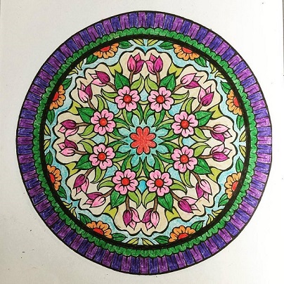 color3.jpg
