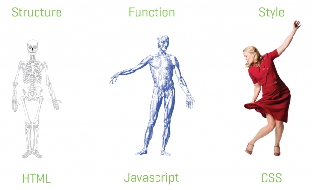 structure_function.jpg