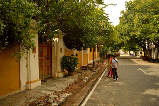 DSC_0030_01.JPG