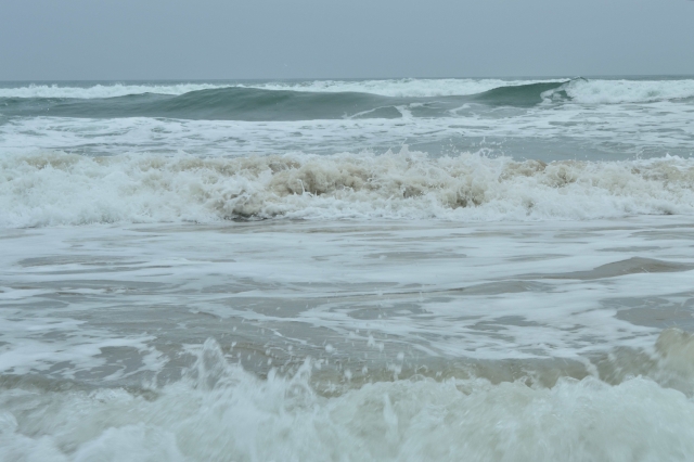 DSC_0101.JPG