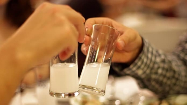 http___cdn.cnn_.com_cnnnext_dam_assets_151012215835-raki1.jpg