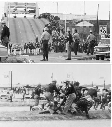 selma-collage_1.jpg