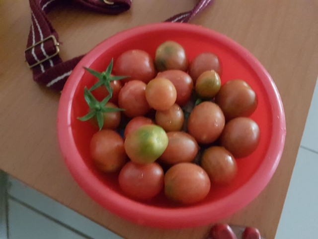 20180201_072534.jpeg