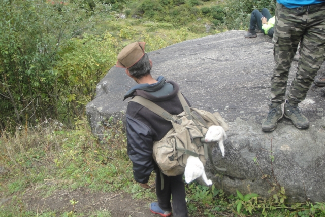 dsc04979_1.jpg