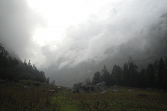 view_from_tent_0.jpg
