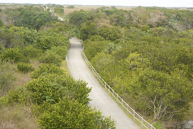 DSC_6519.JPG
