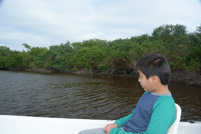 DSC_6582.JPG