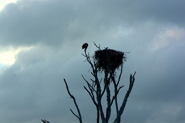 DSC_6827.JPG