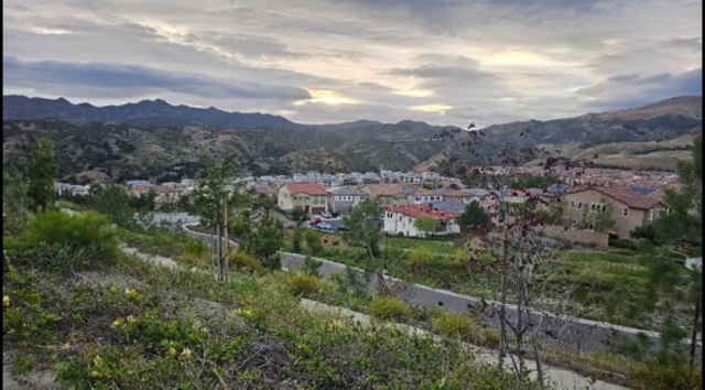 img_4004_0.jpeg