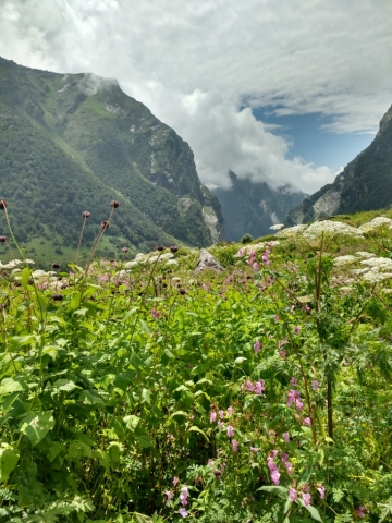 IMG_20170818_113357532_HDR~01.jpg